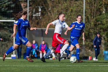 Bild 141 - B-Juniorinnen Hamburger SV - FC Neubrandenburg 04 : Ergebnis: 3:1